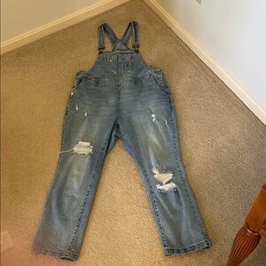 ❤️ Offers Lane Bryant Distressed Denim Overalls